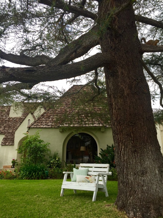 FullSizeRender (2).jpg